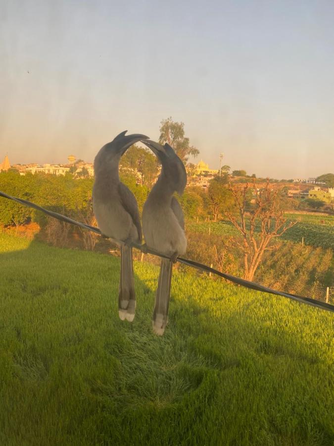The Natural View プシュカル エクステリア 写真
