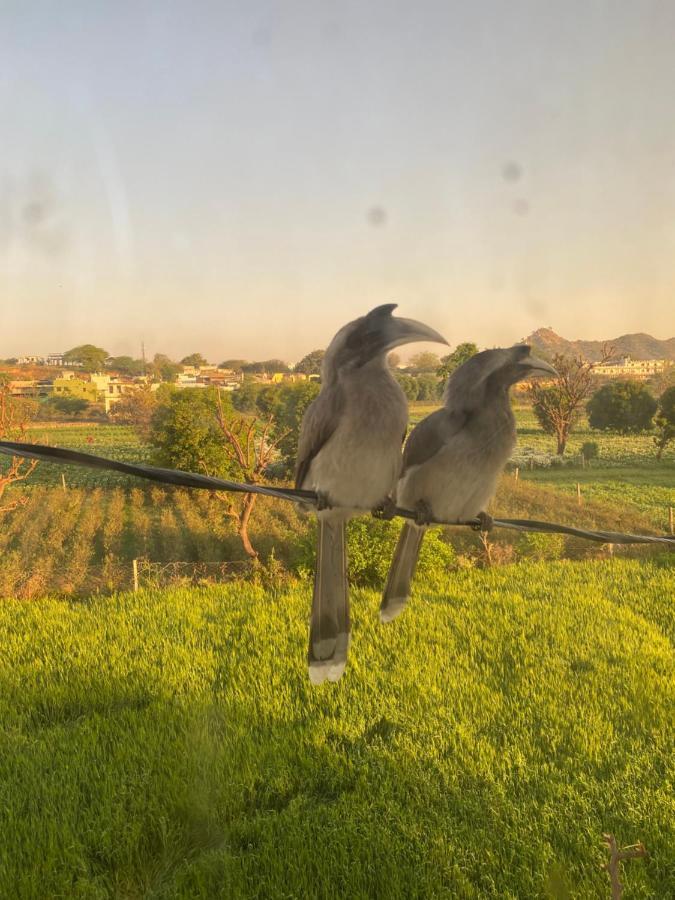The Natural View プシュカル エクステリア 写真